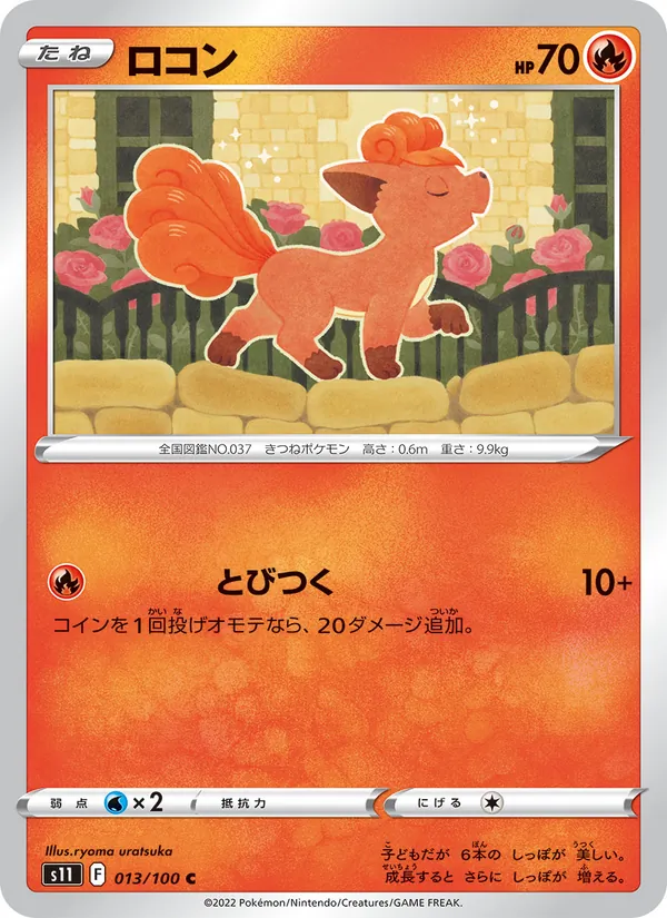 ロコン