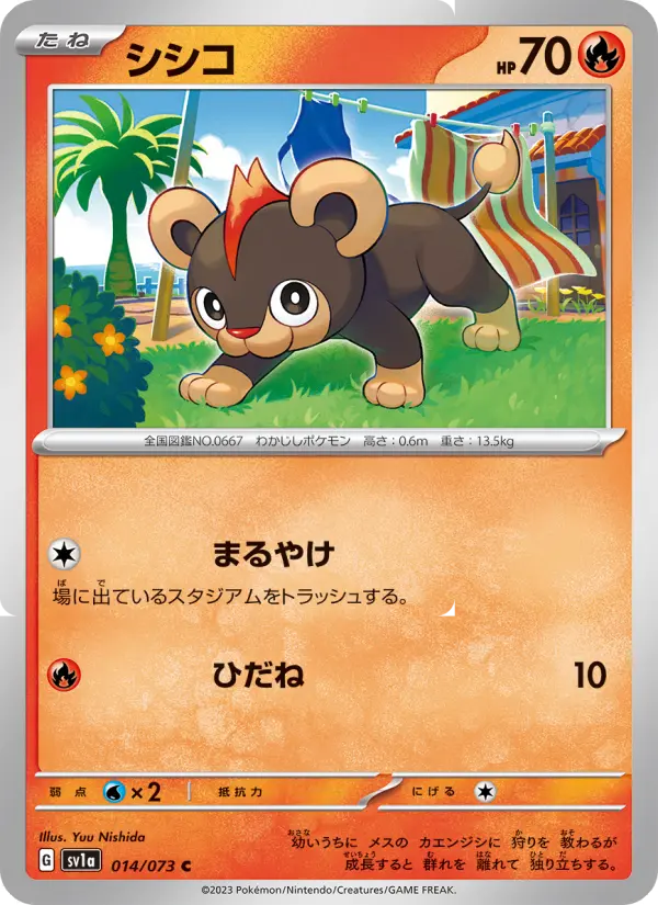 シシコ