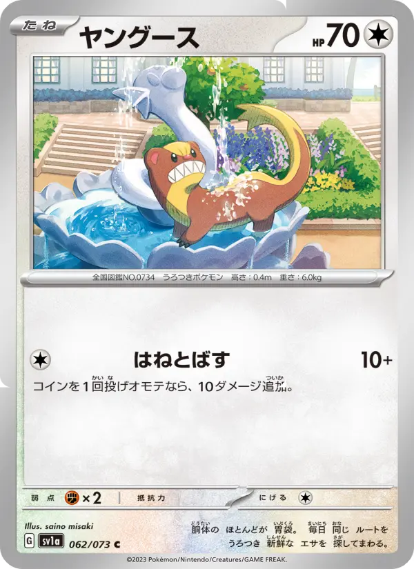 ヤングース