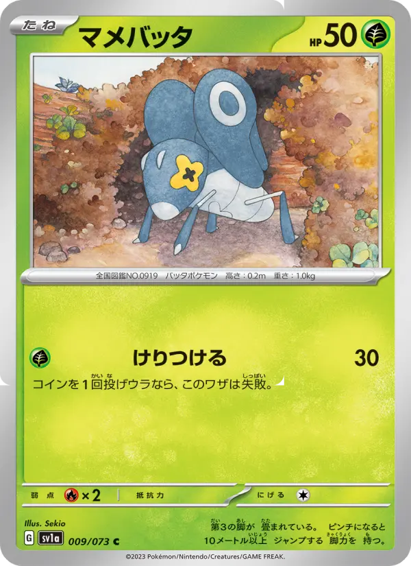 マメバッタ