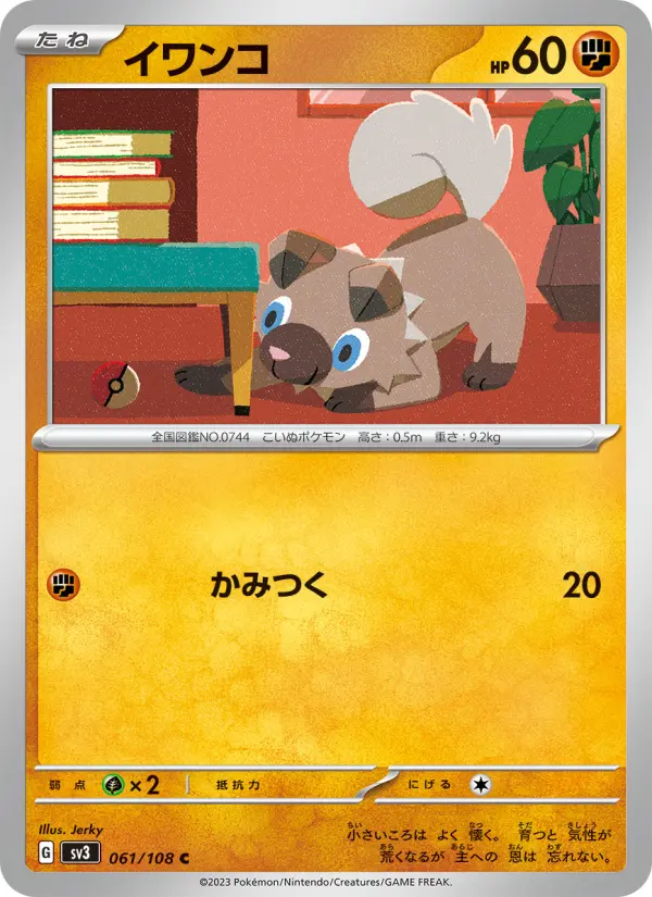 イワンコ
