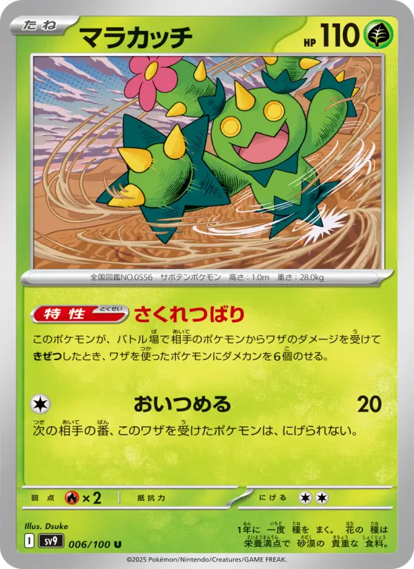 マラカッチ