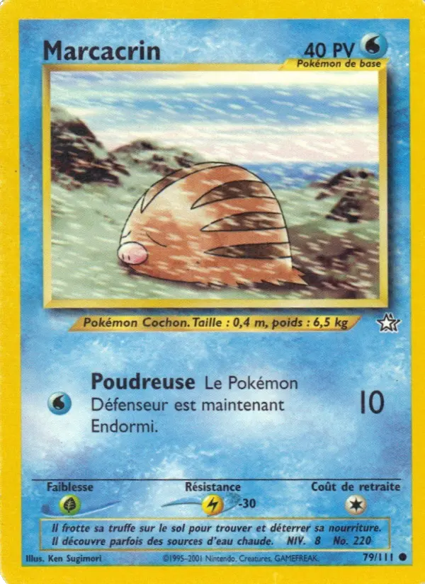 Marcacrin