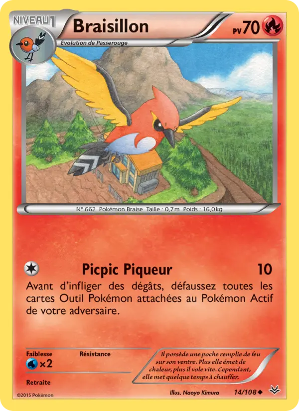 Braisillon
